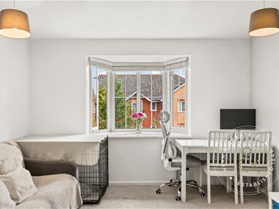 Picture 7